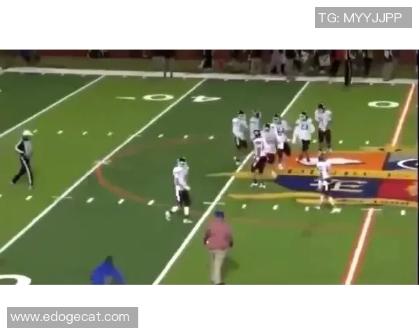 羽毛球赛事战术创新及运动员适应性 羽毛球赛事战术创新及运动员适应性